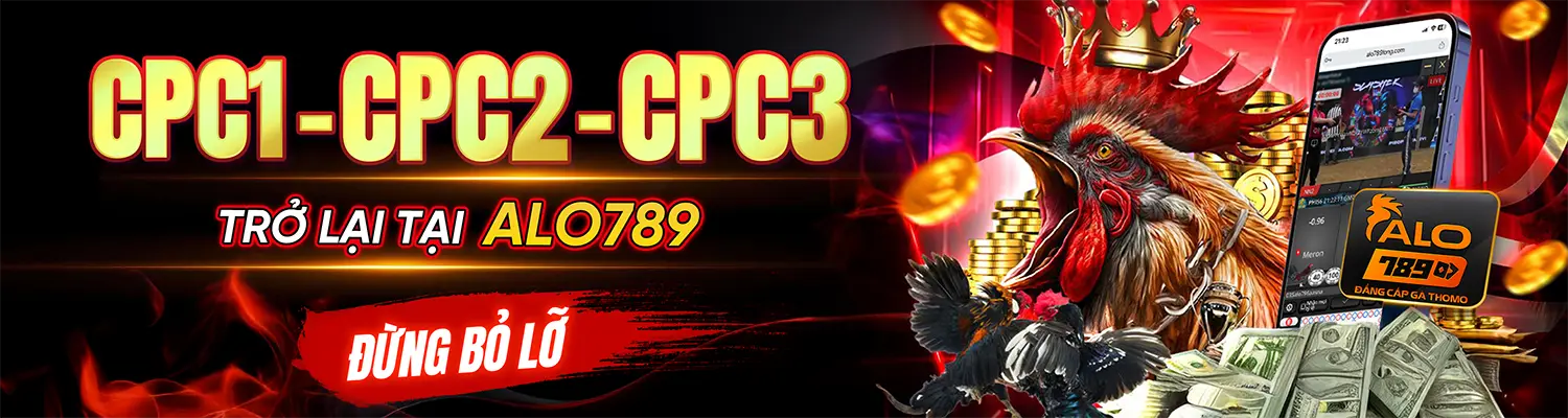 ALO789 NET - Nhà Cái ALO789.COM Cá Cược Đá Gà Thomo Trực Tiếp T9/2026