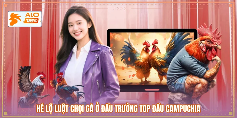 Hé lộ luật chọi gà ở đấu trường top đầu Campuchia